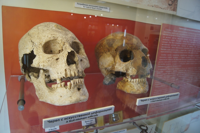 Экспонаты главного музея - черепа