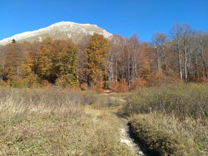 Осенние краски. Лес перед Армянским перевалом