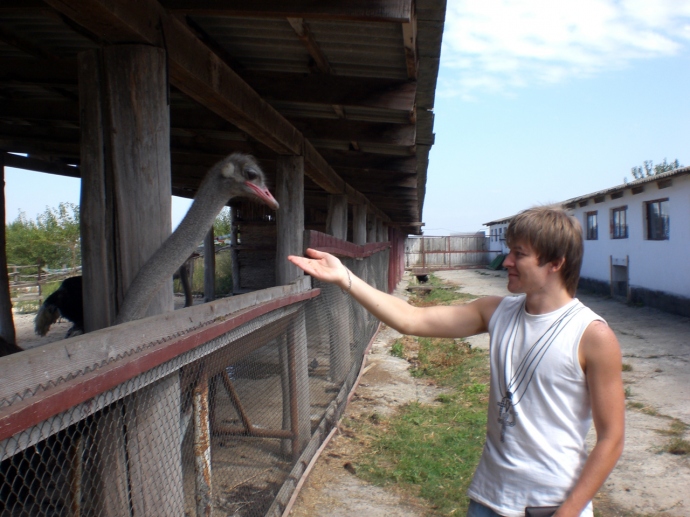 Довольно занятно было пообщаться со страусами на ферме