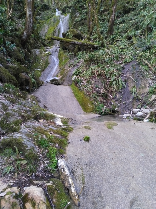 Небольшой поток по дороге на Ажекский водопад