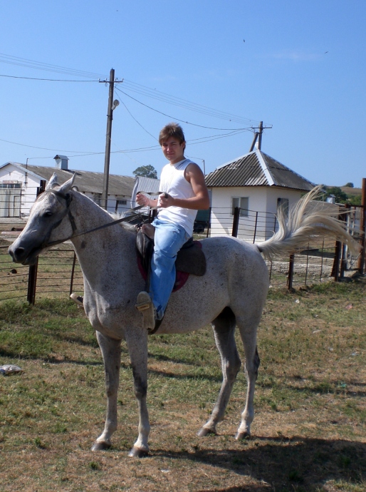 Первый опыт езды на лошади