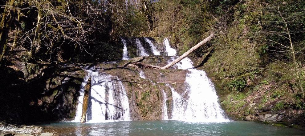 Ореховский водопад и ручей Сванидзе. Сочи